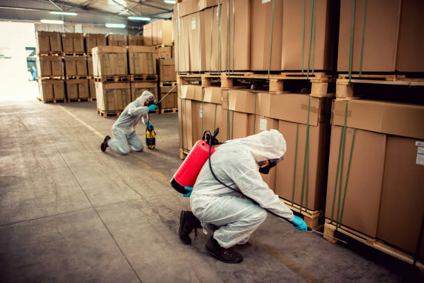 Best Pest Control Near Me in Wind Point, WI