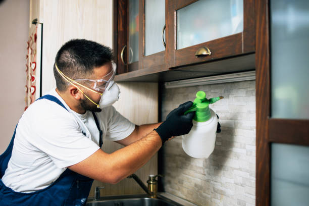 Best Emergency Pest Control  in Nd Point, WI