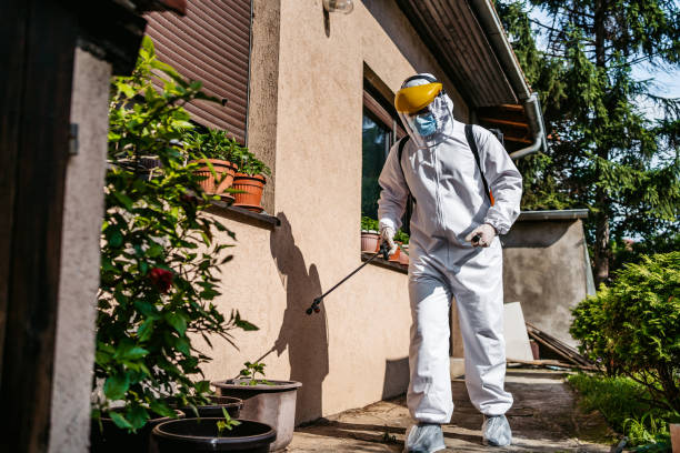 Best Local Pest Control Services  in Nd Point, WI
