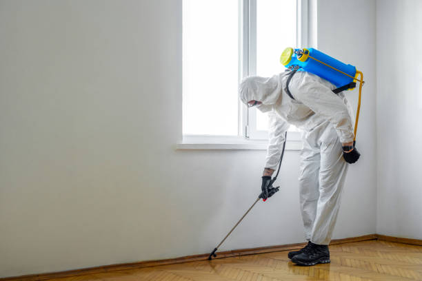 Best Best Pest Control Companies  in Nd Point, WI