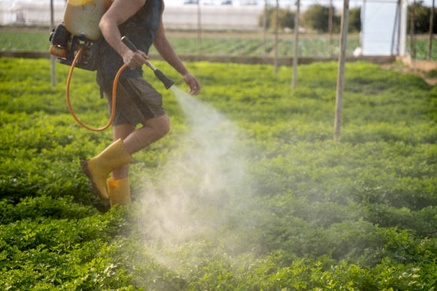 Reliable Wind Point, WI Pest Control Solutions
