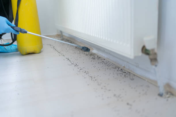 Best Pest Prevention Services  in Nd Point, WI