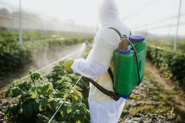 Best Insect Control  in Nd Point, WI